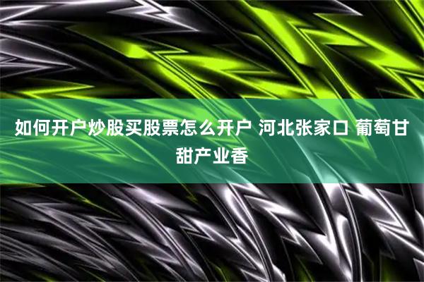 如何开户炒股买股票怎么开户 河北张家口 葡萄甘甜产业香